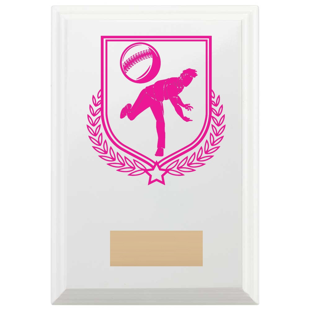 Cricket Bowling Reward Plaque In Arctic White