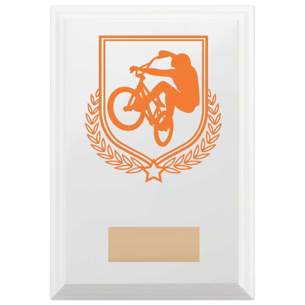 Cycling Reward Plaque In Arctic White