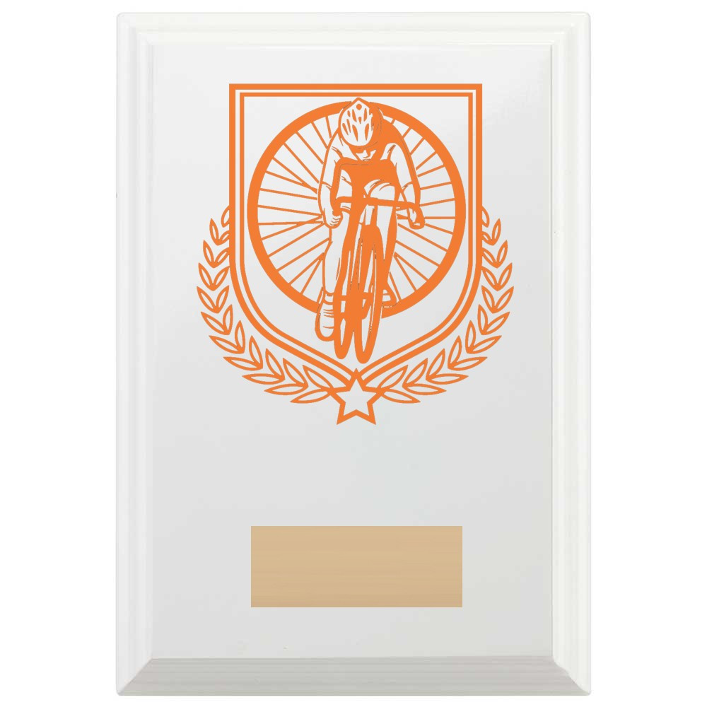 Cycling Reward Plaque In Arctic White