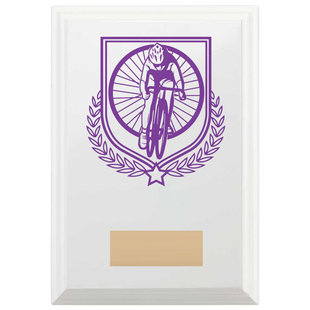 Cycling Reward Plaque In Arctic White