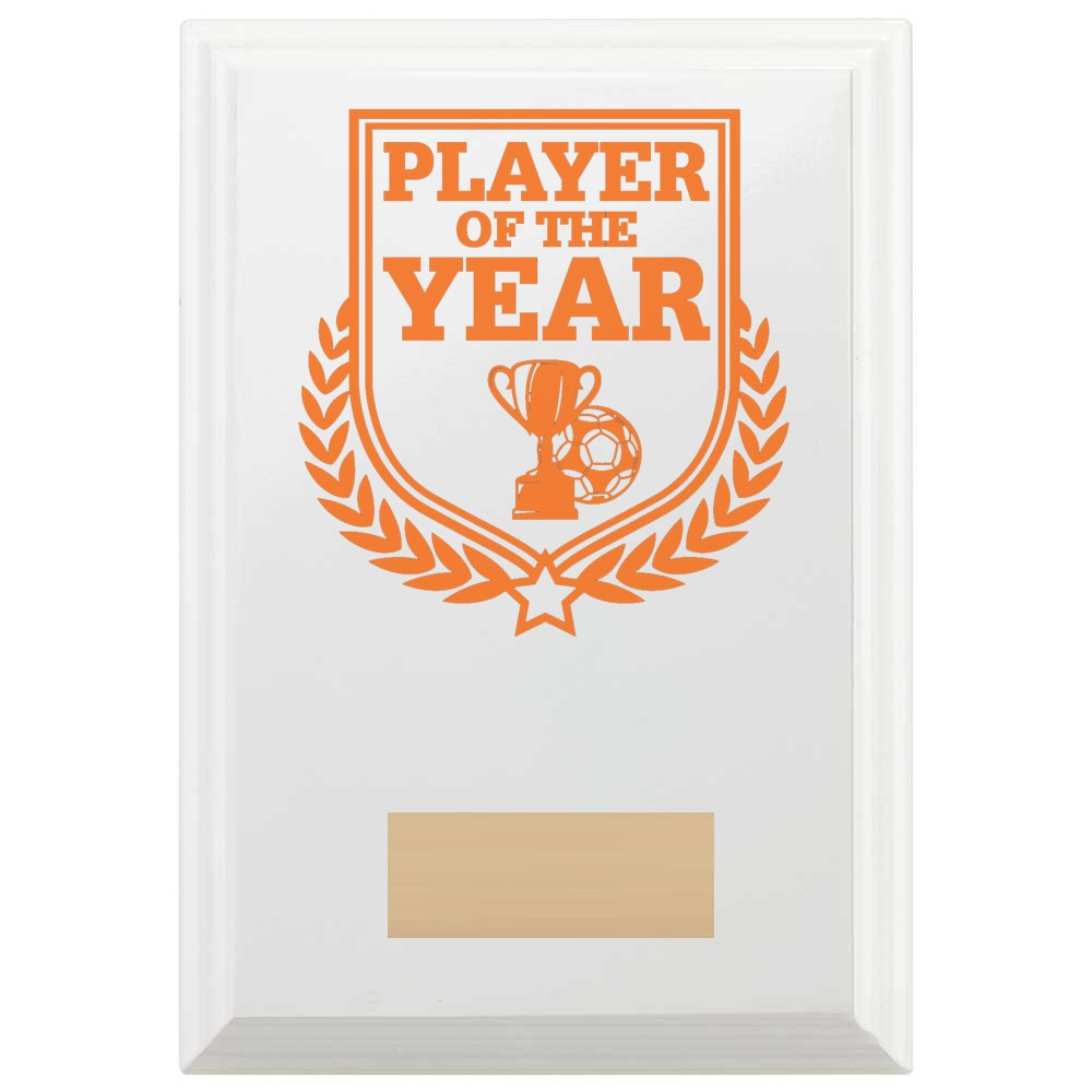Football Player of the Year Reward Plaque In Arctic White