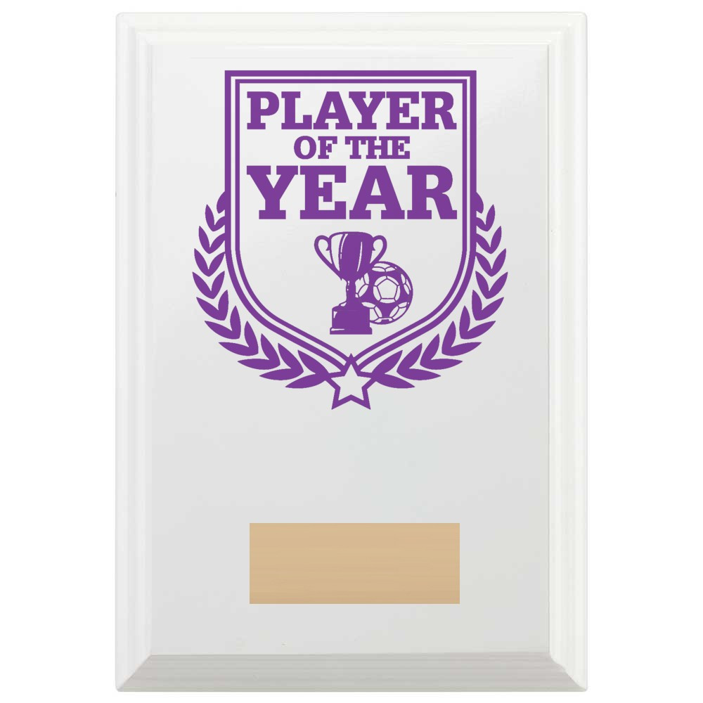 Football Player of the Year Reward Plaque In Arctic White
