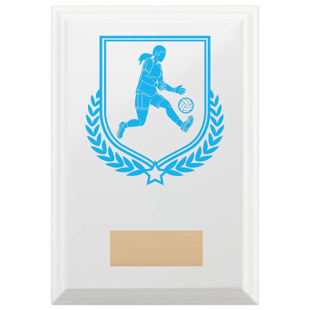 Gaelic Football Reward Plaque In Arctic White