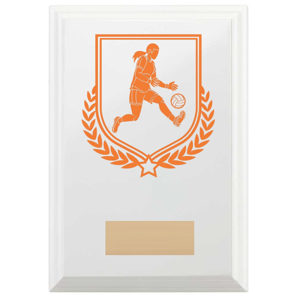 Gaelic Football Reward Plaque In Arctic White