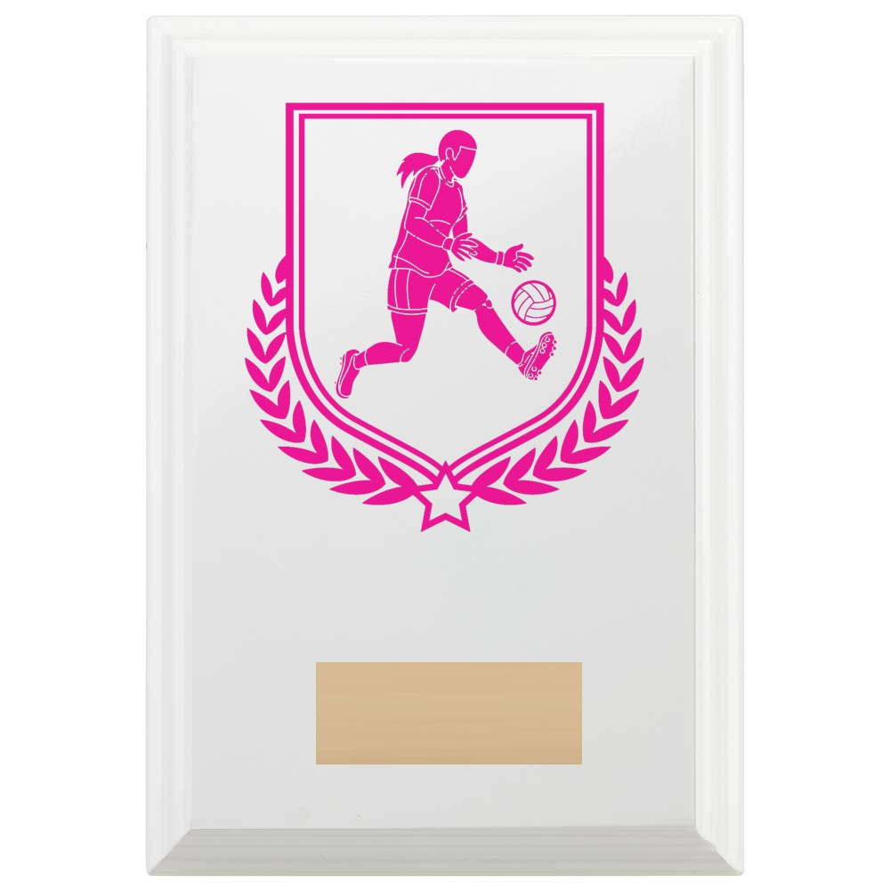 Gaelic Football Reward Plaque In Arctic White