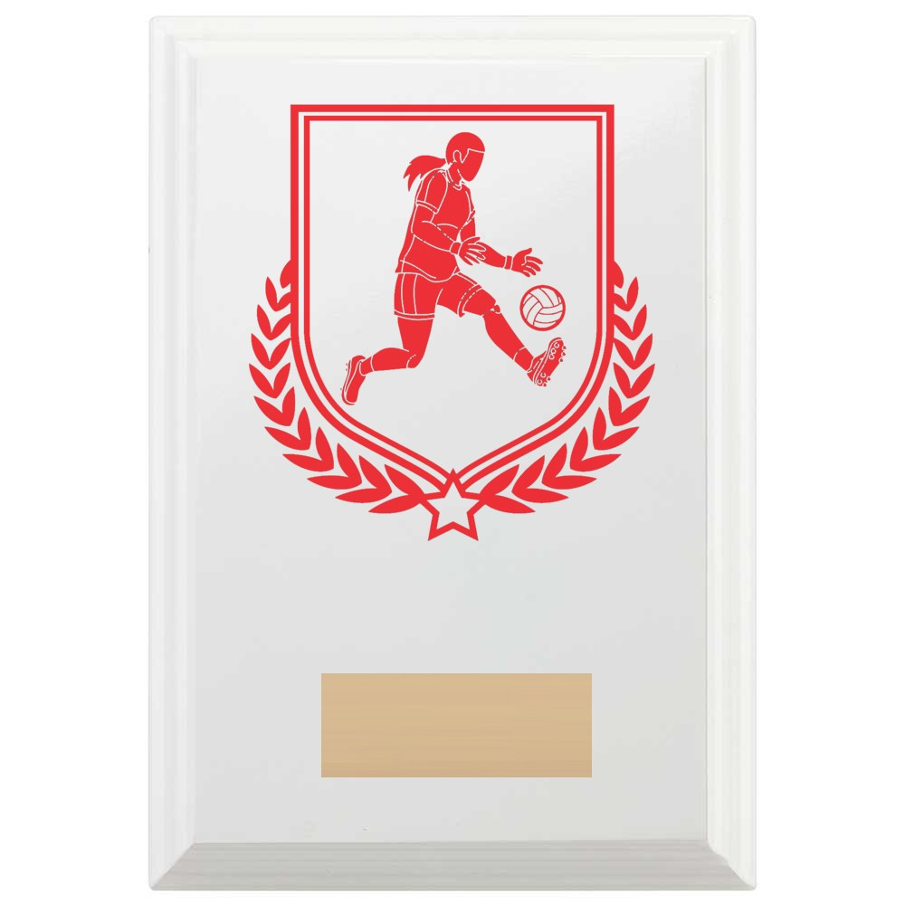 Gaelic Football Reward Plaque In Arctic White