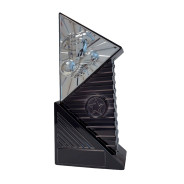 Infinium Silver Football Heavyweight Award