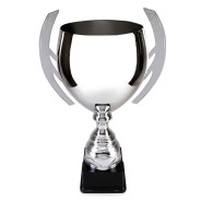 Silver Cup on Black Base