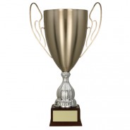 Silver Metal Cup with Handles