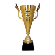 Gold Metal Cup on Black Plastic Base