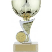 Gold Cup with Silver Trim Trophy