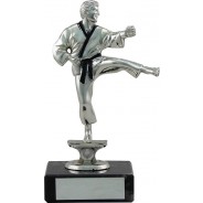 Silver Martial Arts Trophy