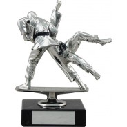 Silver Martial Arts Trophy