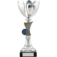 Silver Cup with Gold Trim Trophy