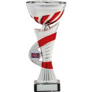 Silver Cup with Red Trim Trophy