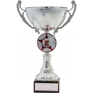 Silver Cup with Red Star Trophy