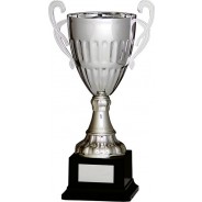 Silver Cup with Handles on Black Base