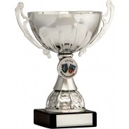 Silver Cup Trophy