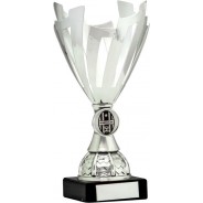 Silver Cup Trophy
