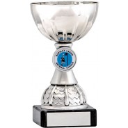 Silver Cup Trophy