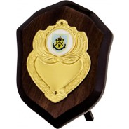 Wooden Shield