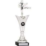 Silver Martial Arts Trophy