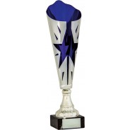 Silver and Blue Star Flute Trophy