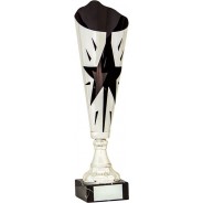 Silver and Black Star Flute Trophy