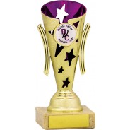Gold Trophy Cup 5 1/2 Shiny Gold Award Trophy Cups Great for Custom Trophy Keepsake Free Engraving Prime 