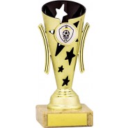 Gold and Black Star Flute Trophy