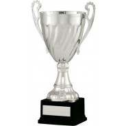 Silver Cup with Handles on Black Base