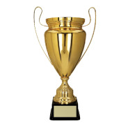 Gold Metal Cup with Handles on Black Plastic Base