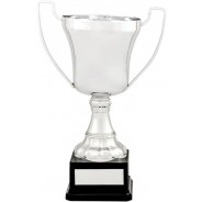 Silver Presentation Cup on Black Base