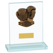 Boxing Rectangle Glass Plaque Award