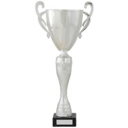 Tall Silver Presentation Cup On Black Marble Base