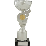 Silver Spiral Cup