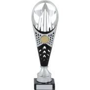 Silver and Black Plastic Star Trophy
