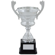 Silver Presentation Cup on Black Base