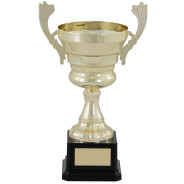 Gold Presentation Cup on Black Base