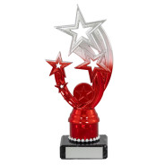 Silver and Red Star Award on Black Marble Base