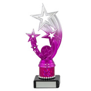 Silver and Pink Star Award on Black Marble Base
