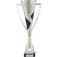 Silver and Black Star Cup on Black Marble Base