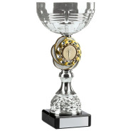 Bright Silver Tone Cup Trophy
