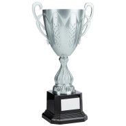 Bright Silver Conical Cup with Handles?