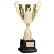 Bright Gold Conical Cup with Handles