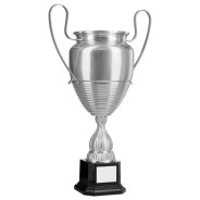 Large Bright Silver Cup wih Handles