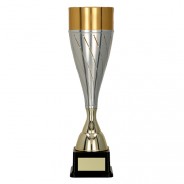 Silver / Gold Fluted Cup