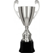 Silver Presentation Cup on Black Base