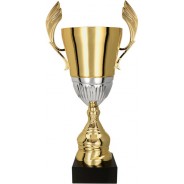 Gold and Silver Presentation Cup on Black Base