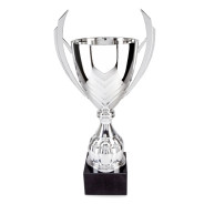 Silver Presentation Cup on Black Base